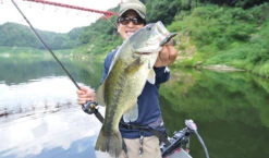 Fish Arrow Free Rig Sinker Tungsten -Angeln Lieferungen Geschäft FA 4573251342053r 5