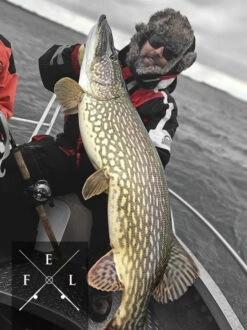 Eastfield Wingman Curly 23cm, 77g -Angeln Lieferungen Geschäft wingman curlr 3